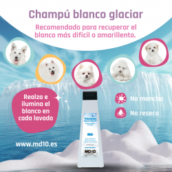 Champú Blanco Glaciar