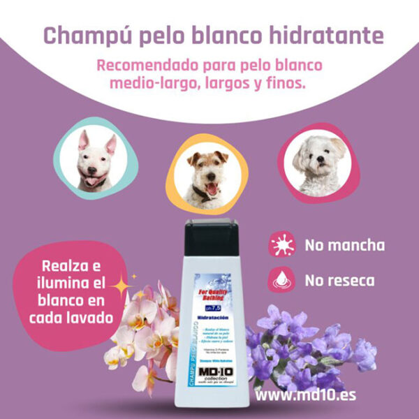 Champú Pelo Blanco Hidratante