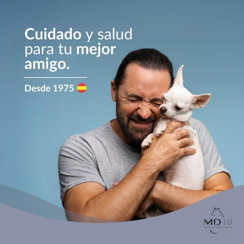 mejor-champu-chihuahua