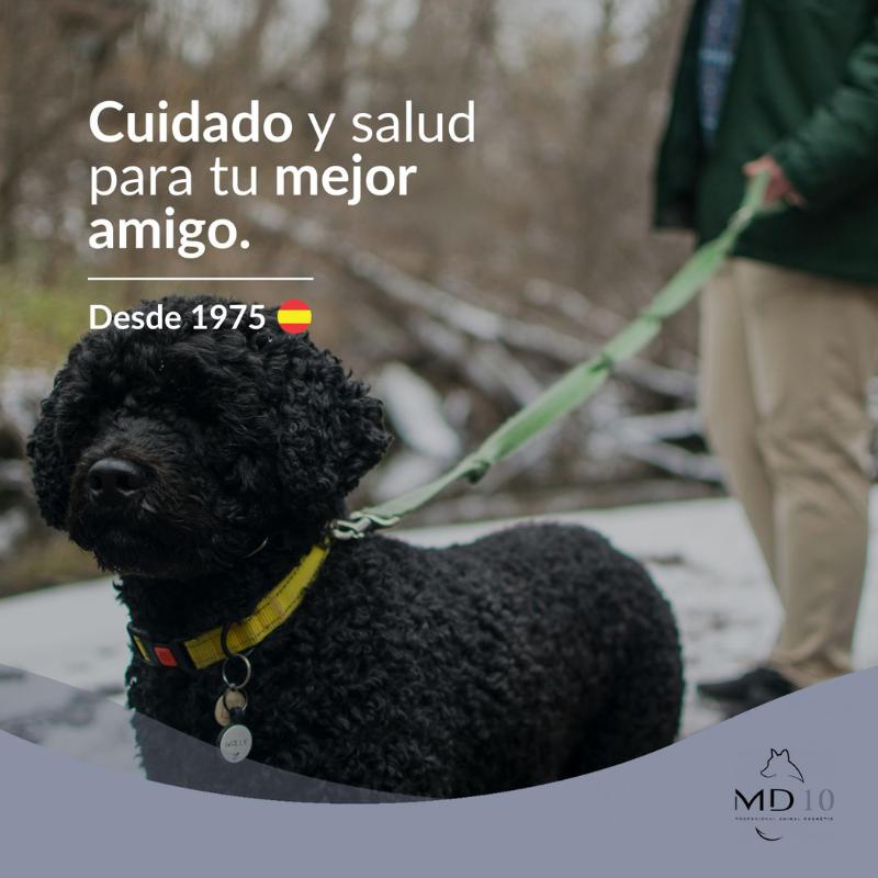 mejor-champu-perro-agua-negro