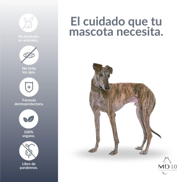 champú galgo formula muy concentrada