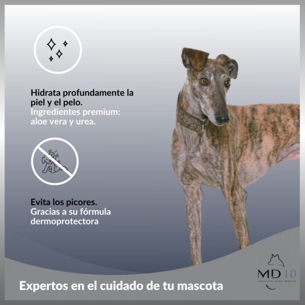 champu galgo con urea y aloe vera para evitar picores