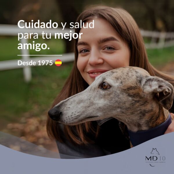 champú especifico para galgo