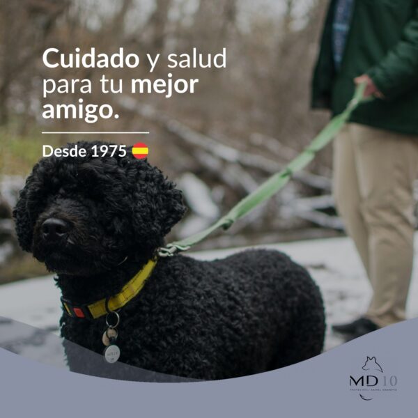 champú especifico para perro de agua pelo negro intensificar color negro