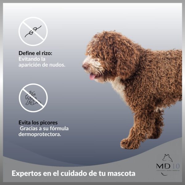 champu para perro de agua marron evitar picores