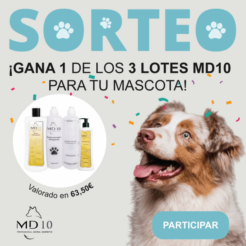 Sorteo: Gana 1 de los 3 lotes que sorteamos