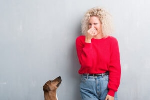 ¿Por qué mi perro huele mal aunque lo bañe?