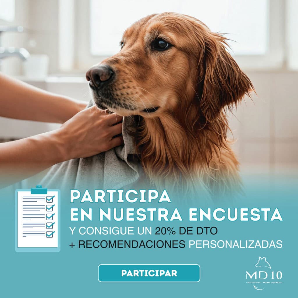 Encuentra el mejor cuidado para el pelo y la piel de tu perro