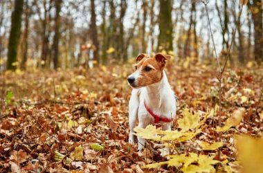 El cambio del verano al otoño: La clave de la cosmética inteligente