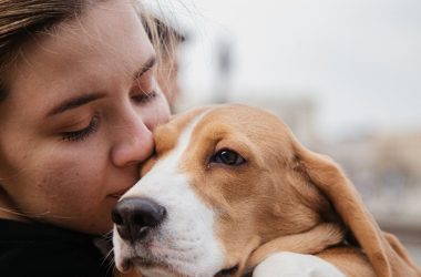 ¿Cómo mantener a tu perro limpio por más tiempo con cosmética profesional? (y huela siempre bien)