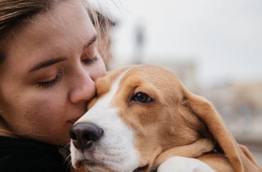 ¿Cómo mantener a tu perro limpio por más tiempo con cosmética profesional? (y huela siempre bien)