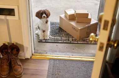 Tener una mascota es una de las experiencias más enriquecedoras y divertidas que puedes vivir.